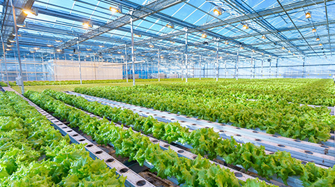 农业领域解决方案